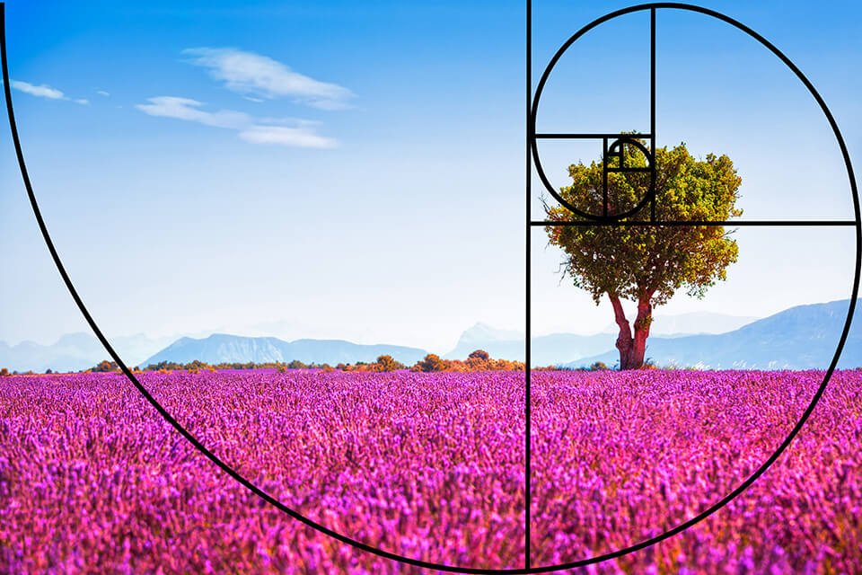 Was ist Komposition in der Fotografie?